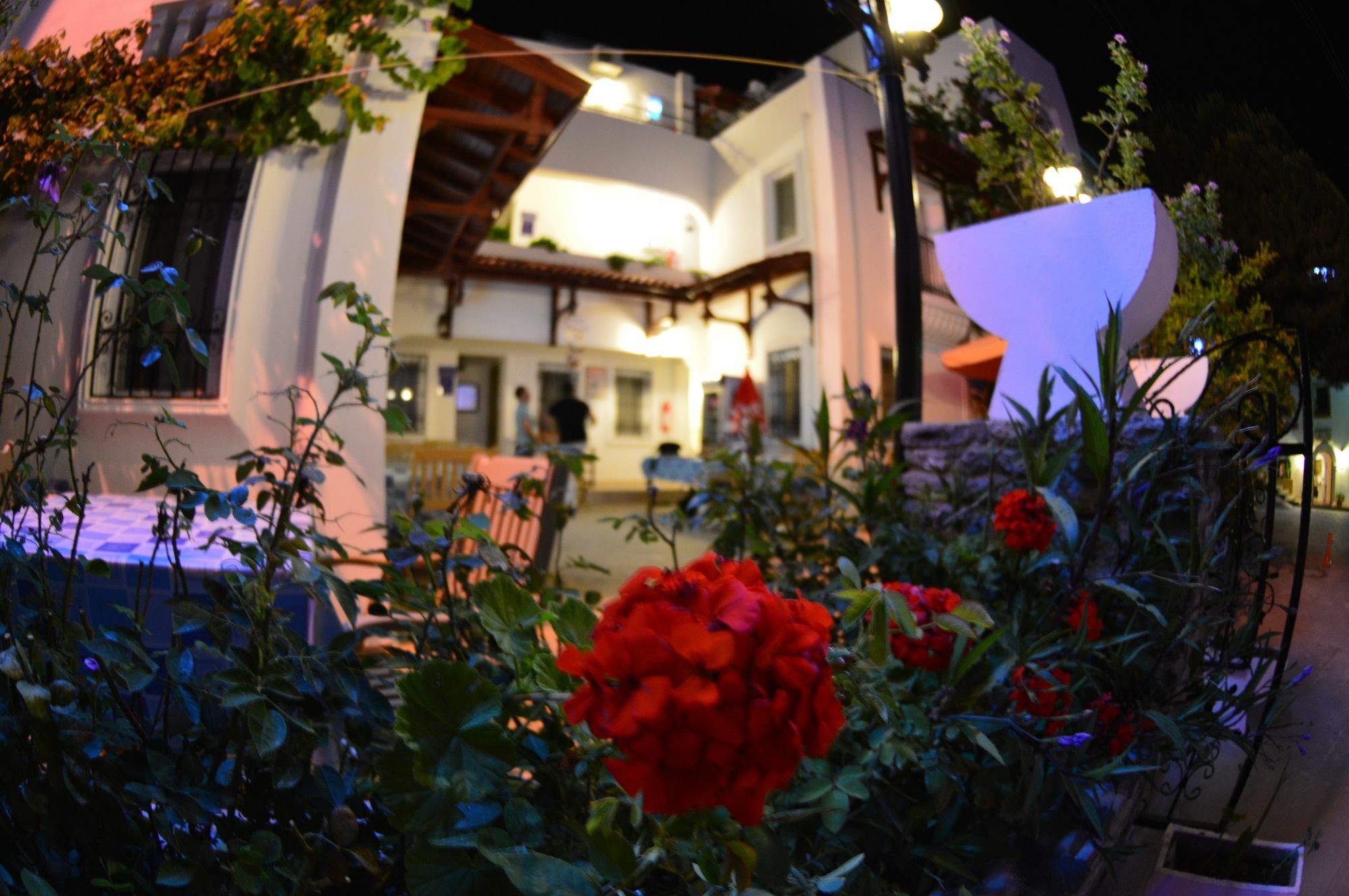 Istankoy Butik Pansiyon Bodrum Exterior photo